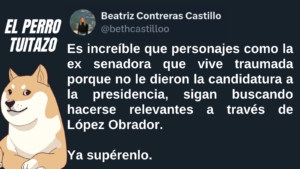 El Perro Tuitazo