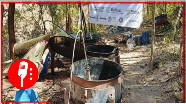 Estrategia Nacional de Seguridad da un duro golpe al crimen organizado, equivalente a 300 millones de pérdidas para los delincuentes
