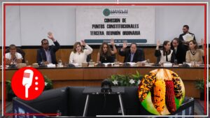 Morena y sus aliados aprueban la prohibición del cultivo de maíz transgénico