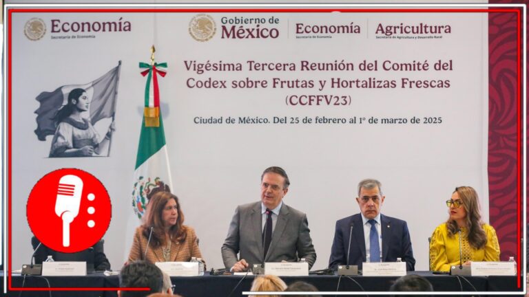 Ebrard se pronuncia sobre la inminente imposición de Aranceles de EE. UU.