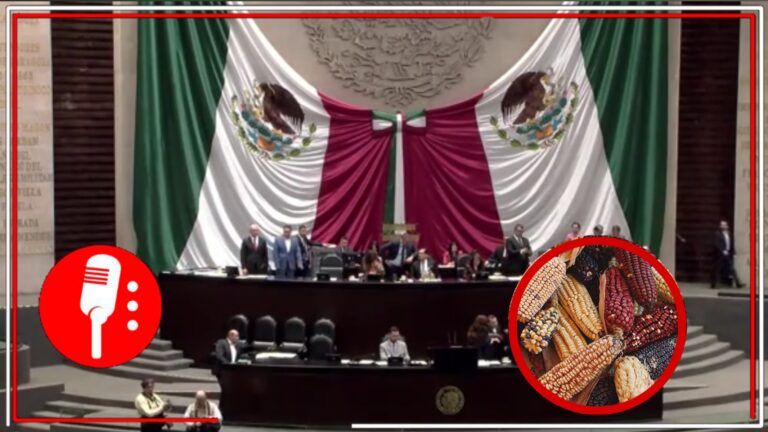 Diputados Aprueban Reforma que Prohíbe el Cultivo de Maíz Transgénico en México