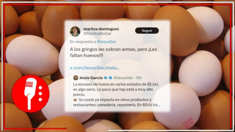 &#8220;Muchas armas pero pocos huevos&#8221;: continúa en Estados Unidos la escasez de estos productos avícolas