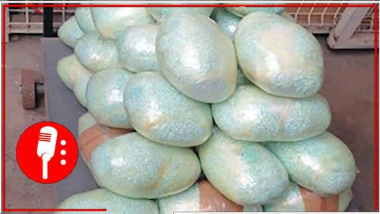 FGR incinera más de dos millones de pastillas de fentanilo
