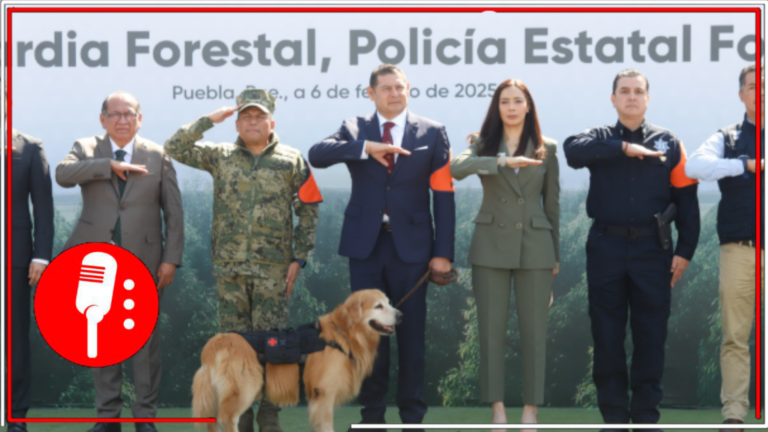 Alejandro Armenta refuerza la protección ambiental con la creación de la Policía Forestal y Guardia Forestal