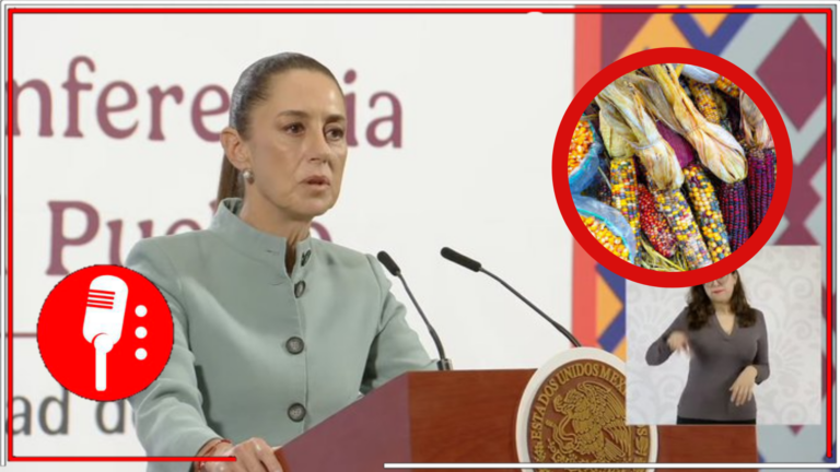 La 4T protege el maíz nativo con reforma constitucional y relanza el sello Hecho en México para fortalecer la producción nacional