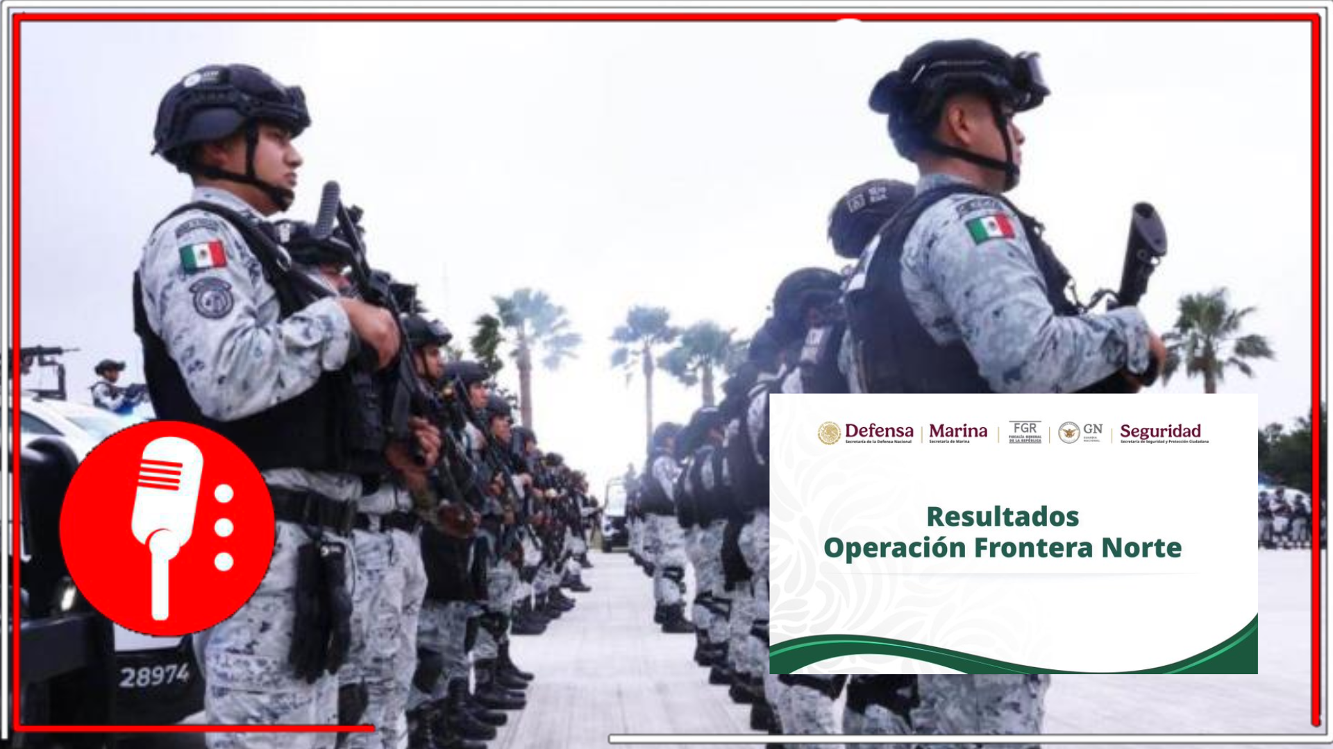 Operación Frontera Norte: aseguran 705 armas, 80 mil cartuchos y 12 toneladas de droga, deteniendo a 746 personas
