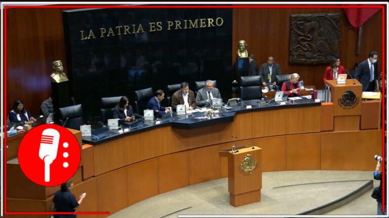 El Senado ratifica la constitucionalidad de la reforma que prohíbe el nepotismo y la reelección