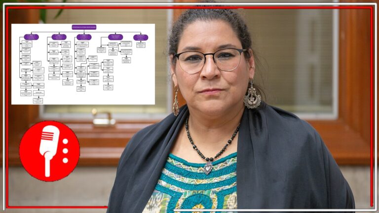 Ministra Lenia Batres señala estrategia dilatoria en casos de Salinas Pliego