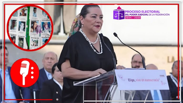 INE Colaborará con el Gobierno en la Búsqueda de desaparecidos: Taddei