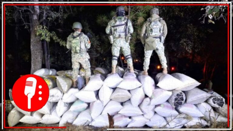 Gracias a la Operación Frontera Norte, en Sinaloa se identificaron y desmantelaron 11 áreas de concentración de material utilizado para la producción de metanfetamina