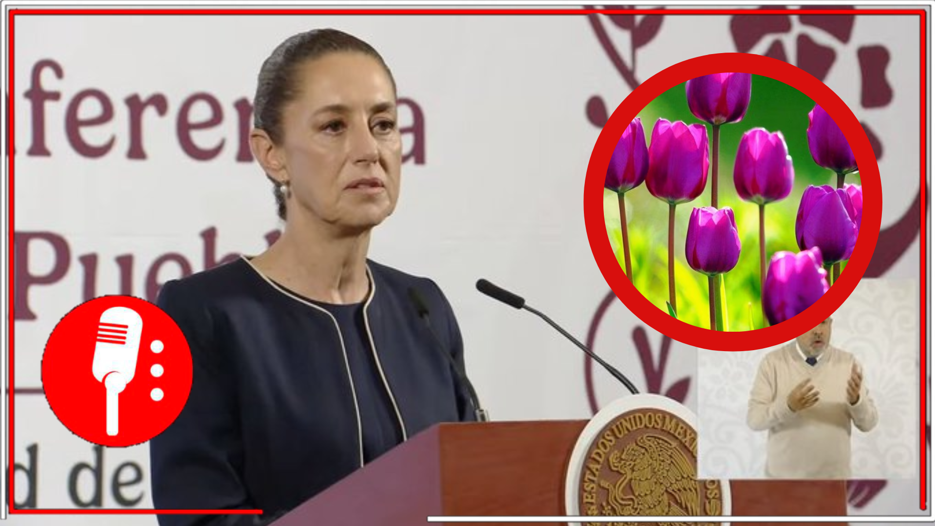 Países Bajos reconocerá a mujeres indígenas mexicanas nombrando un tulipán en su honor