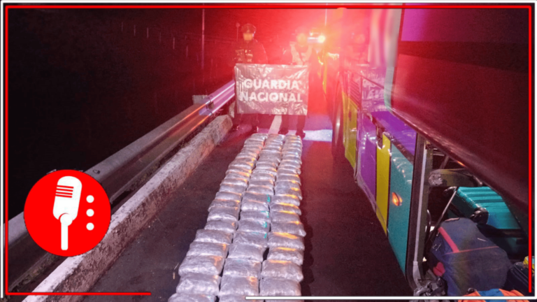 Detienen en Michoacán a conductor de autobús con 72 paquetes de marihuana ocultos en maletas durante operativo de seguridad