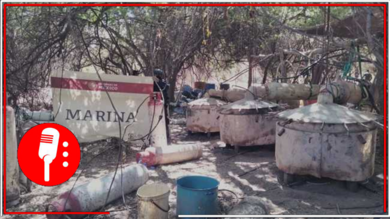 Autoridades desmantelan ocho laboratorios clandestinos en Culiacán y Cosalá
