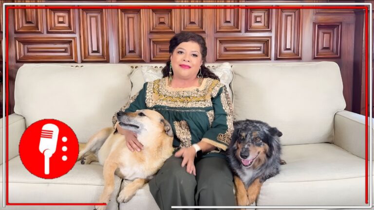 Transforma vidas: Participa en el Adoptatón de la Ciudad de México