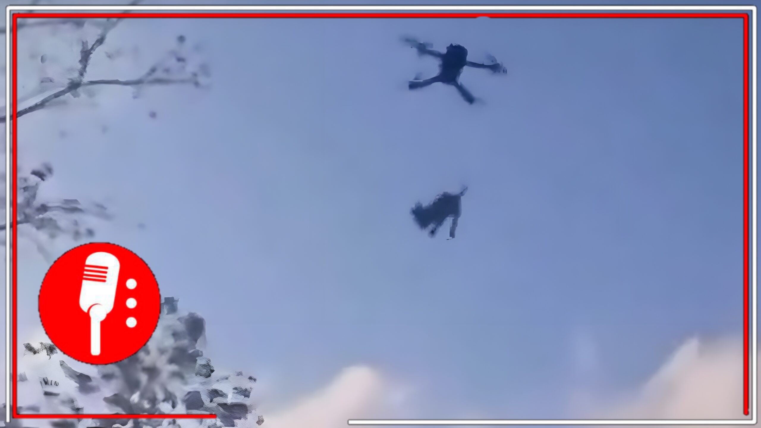 ¡Indignante! Perrito es amarrado a dron y elevado a cinco metros en Cancún