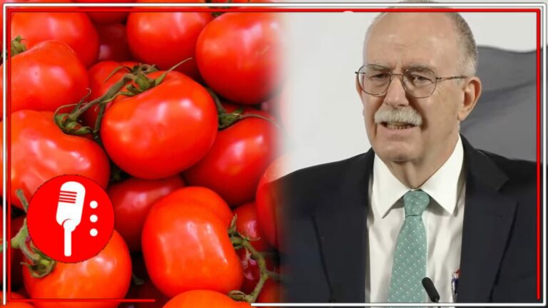 Aranceles contra jitomate mexicano podrían entras dentro de 90 días; la 4T busca negociar un acuerdo para retirar gravámenes al agro mexicano