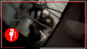 Colapsa estructura en concierto de Quevedo: tres heridos, incluido un menor