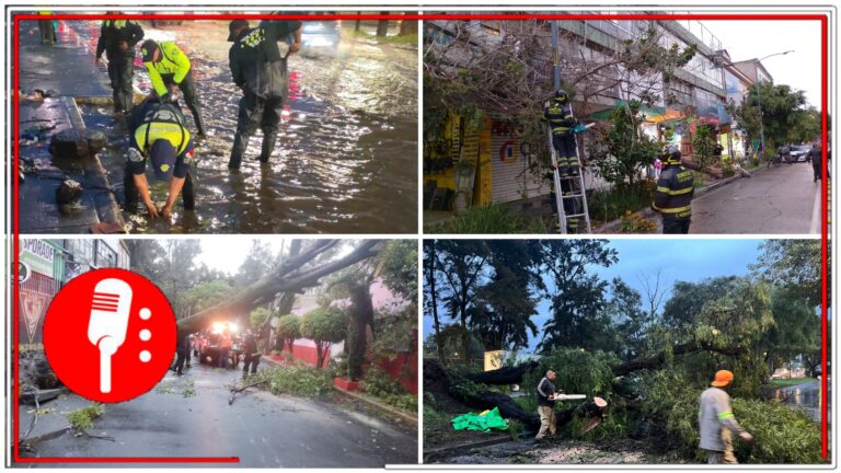 Lluvias en la CDMX causan caídas de árboles y afectaciones