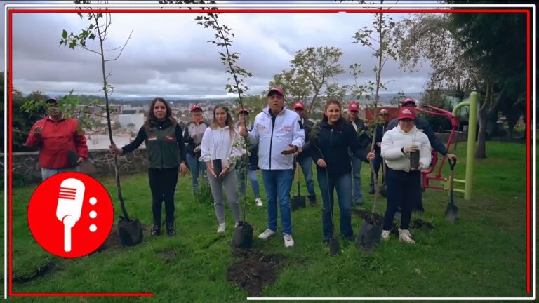 Toluca se viste de verde: más de 1,500 Árboles plantados en acción, colectiva