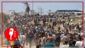 Crisis en Gaza: más de 56 mil muertos en la ofensiva israelí