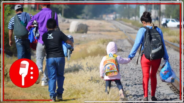 Crisis de desplazamiento forzado en México: casi 29 mil personas afectadas en 2024