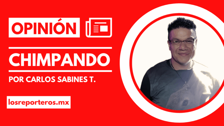 Novedades