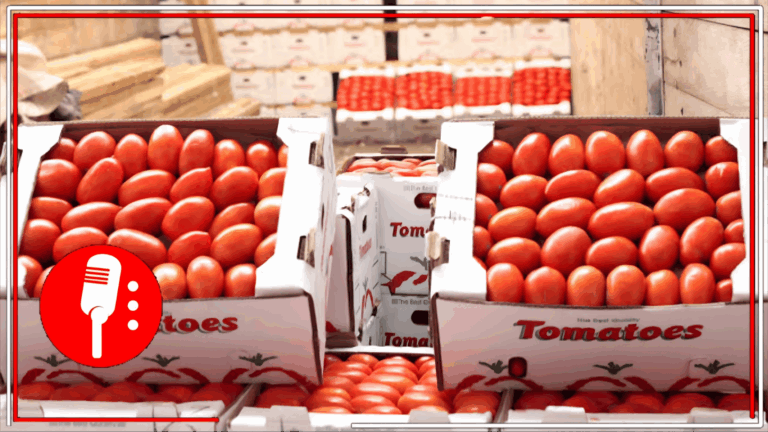 Estados Unidos impone arancel del 20.91% al tomate mexicano