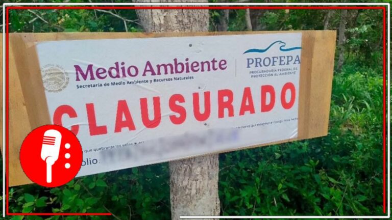 Profepa clausura predio menonita por deforestar selva en Yucatán