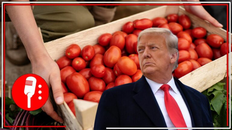 Trump impone arancel al tomate mexicano y afecta a productores de 10 estados