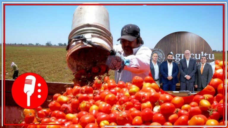 México acuerda plan con productores de jitomate tras arancel de EE.UU.