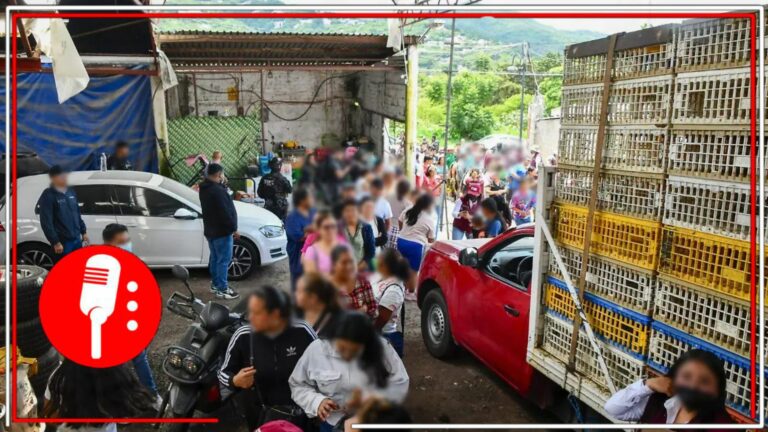 Bienes incautados al crimen organizado en Ixtapan de la Sal se convierten en apoyo social