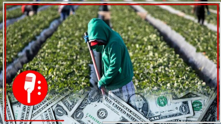 Mexicanos en EE.UU. ganan más y envían más dinero que nunca; masa salarial creció 65% en una década