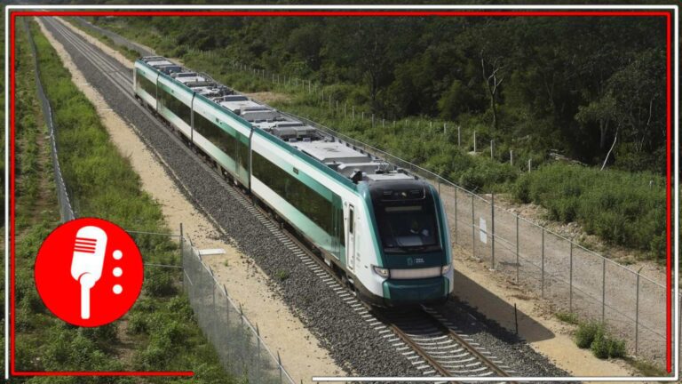 Tren Maya: la obra que transforma el sureste, pese a las críticas
