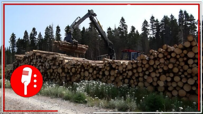 Canadá considera limitar exportaciones de madera para calmar tensiones con EE.UU.