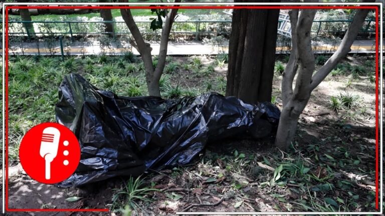 La estatua de Calderón será restaurada tras ser derribada en Los Pinos