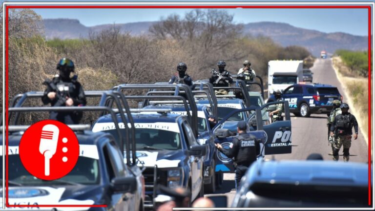 Operativos federales dejan droga, armas y detenidos en seis estados
