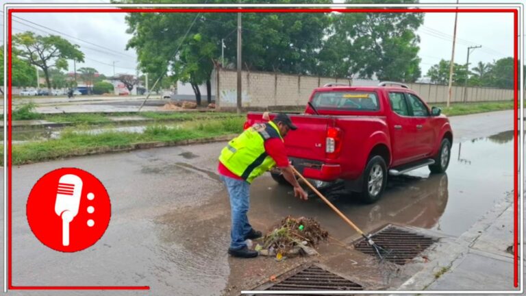 Secretaría de Marina apoya a la limpieza de Othón P Blanco en Quintana Roo