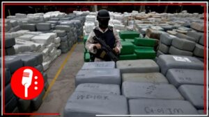 Histórico golpe al narco: aseguran laboratorios y drogas por más de 966 millones de pesos