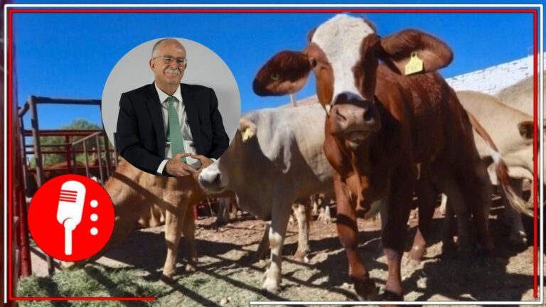 Avances en reapertura ganadera y protección al tomate mexicano: Julio Berdegué confirma diálogo con EE.UU.