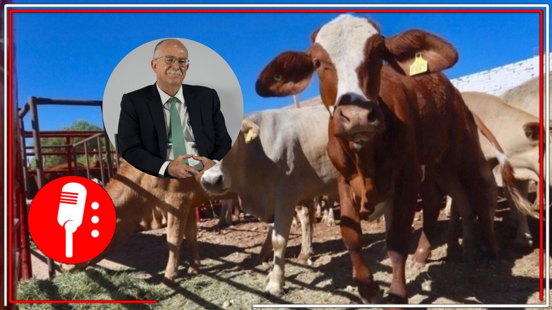 Avances en reapertura ganadera y protección al tomate mexicano: Julio Berdegué confirma diálogo con EE.UU.