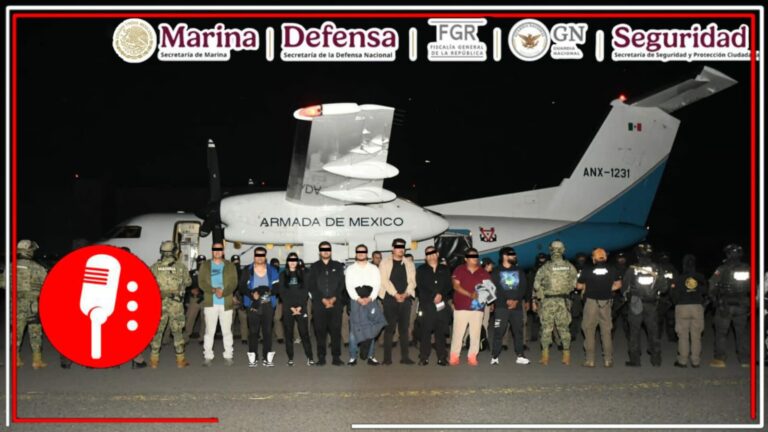 Capturadas 14 personas de una célula delictiva en 3 estados