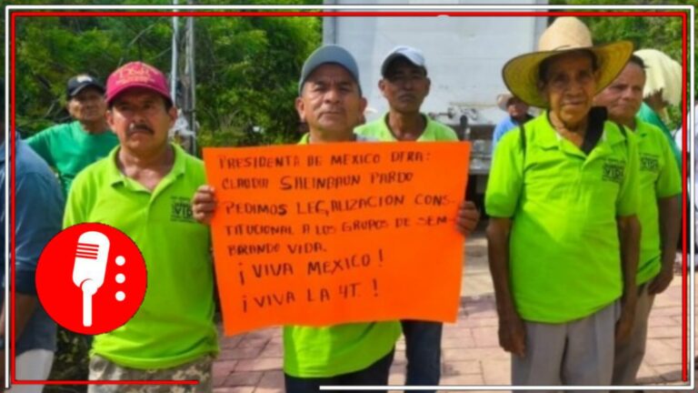 Piden legalidad productores de Sembrando Vida en Guerrero