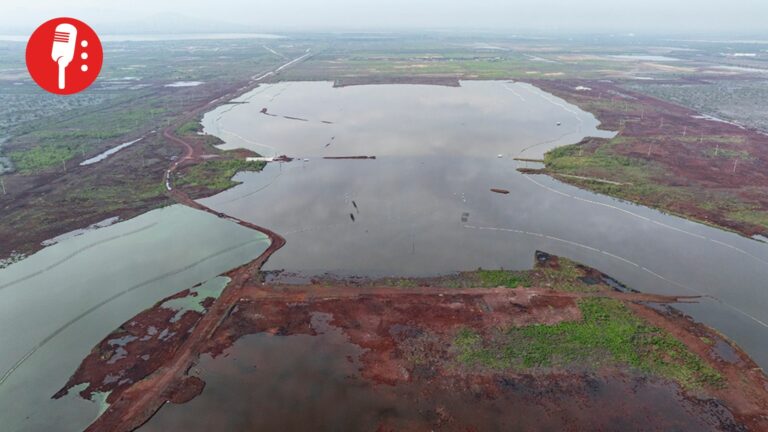 Texcoco revive: donde sería aeropuerto, hoy renace un lago