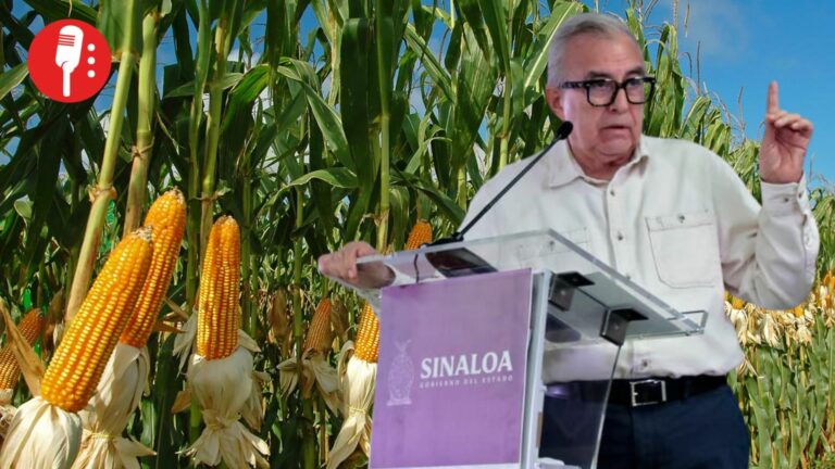Rocha Moya trabaja con gobierno federal por maíz sinaloense