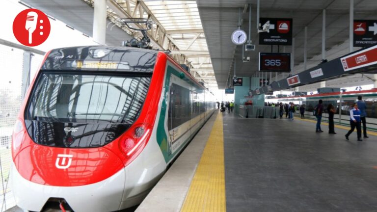 Construcción del Tren Interurbano al 98%: avances hasta ahora