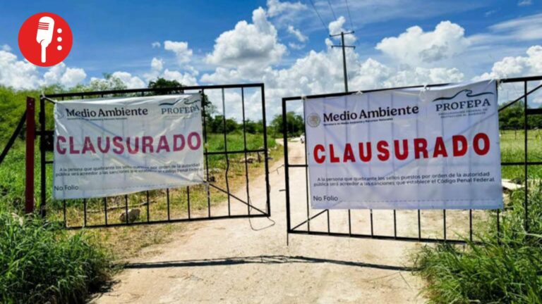 Profepa clausura de manera definitiva la granja porcícola de Santa María Chi