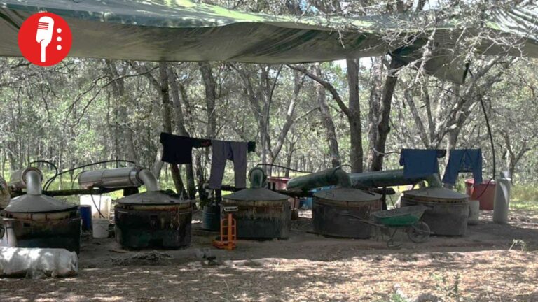 Ejército y Guardia Nacional desmantelan narcolaboratorio millonario en Querétaro