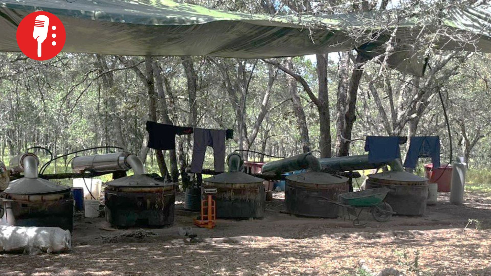 Ejército y Guardia Nacional desmantelan narcolaboratorio millonario en Querétaro