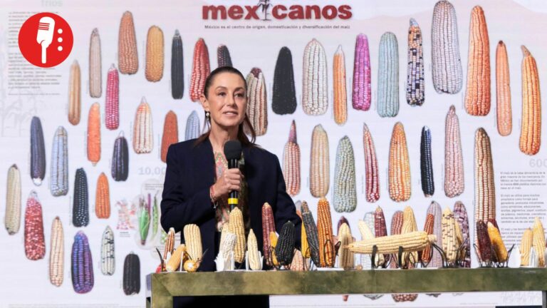 México protege su maíz nativo: anuncian programa integral de conservación y apoyo a productores