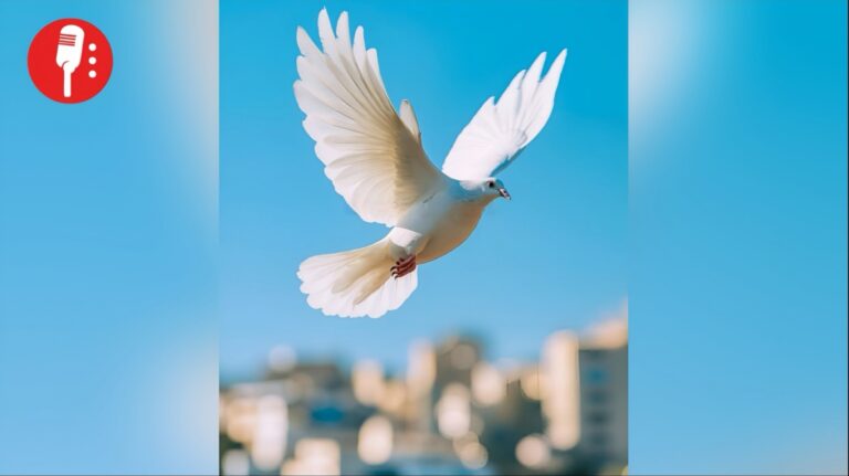 México avanza en el Índice Global de Paz 2025